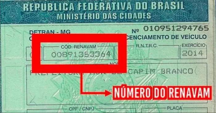Número do Renavam Número do Renavam