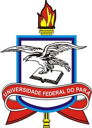 Processo Seletivo UFPA 2022 Processo Seletivo UFPA 2022