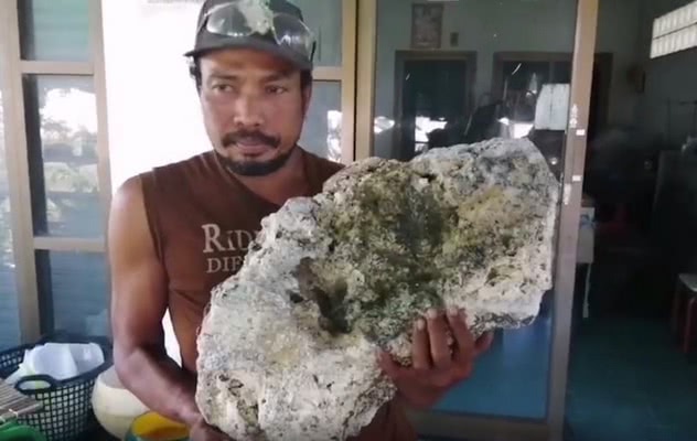 Vômito de baleia Vômito de baleia