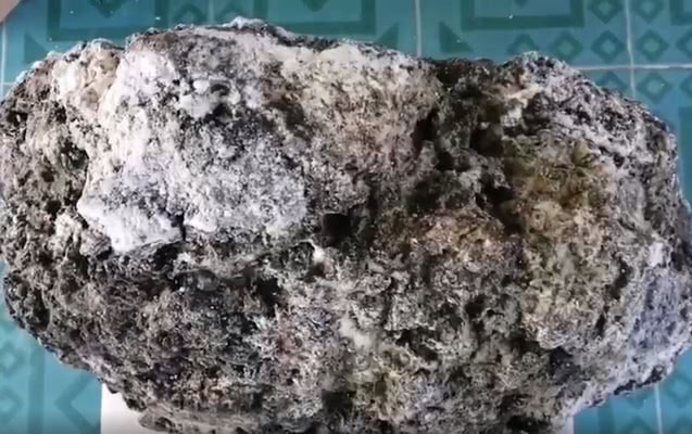 Vômito de baleia Vômito de baleia